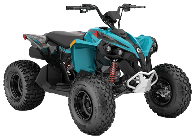 Renegade EFI