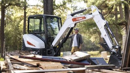 Bobcat Image