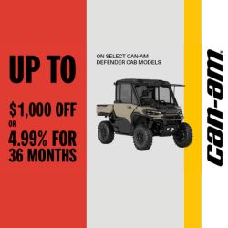 Img promotion